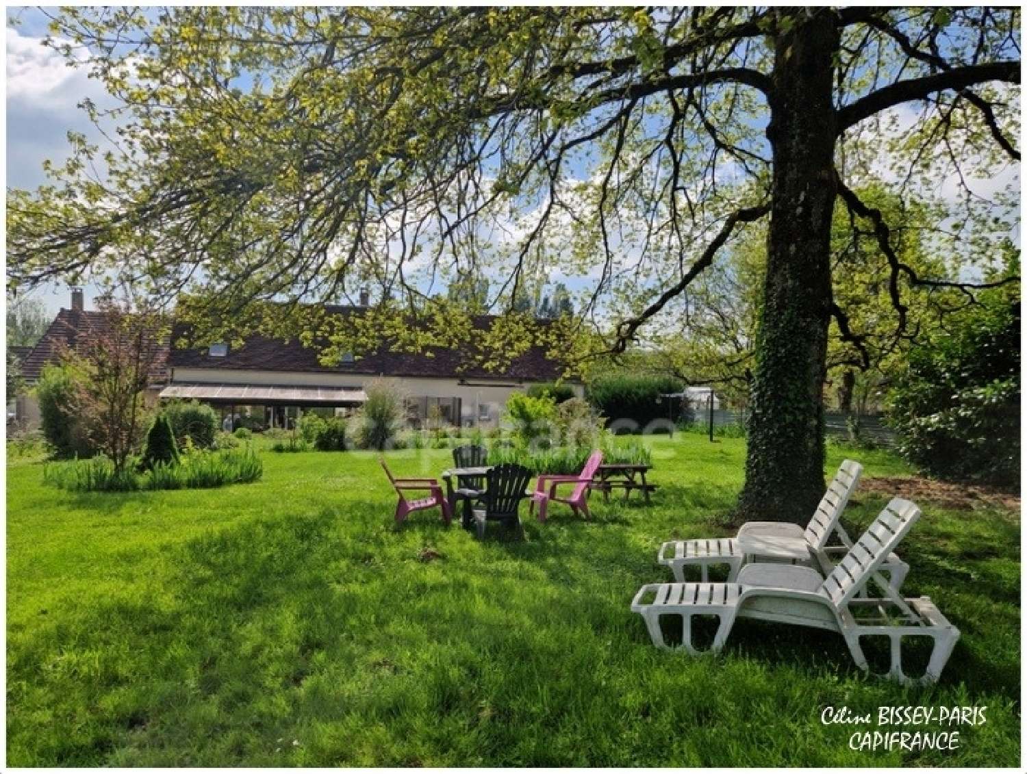  à vendre ferme Dilo Yonne 3