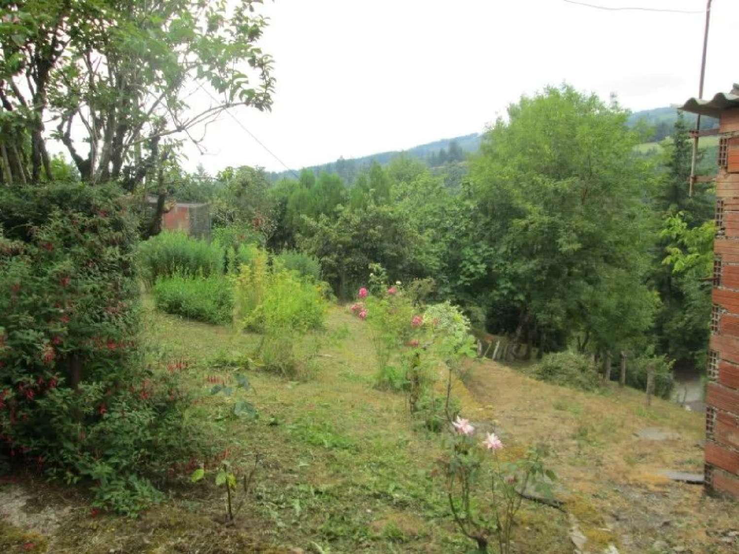  te koop boerderij Labastide-Rouairoux Tarn 3