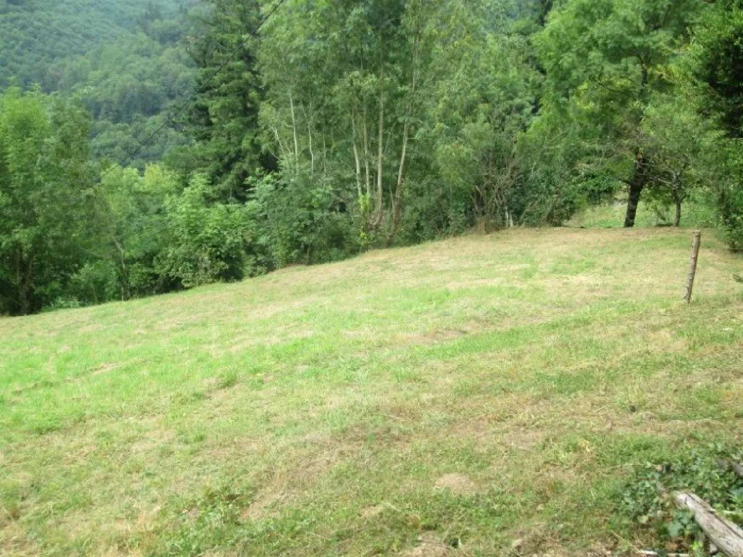  te koop boerderij Labastide-Rouairoux Tarn 4