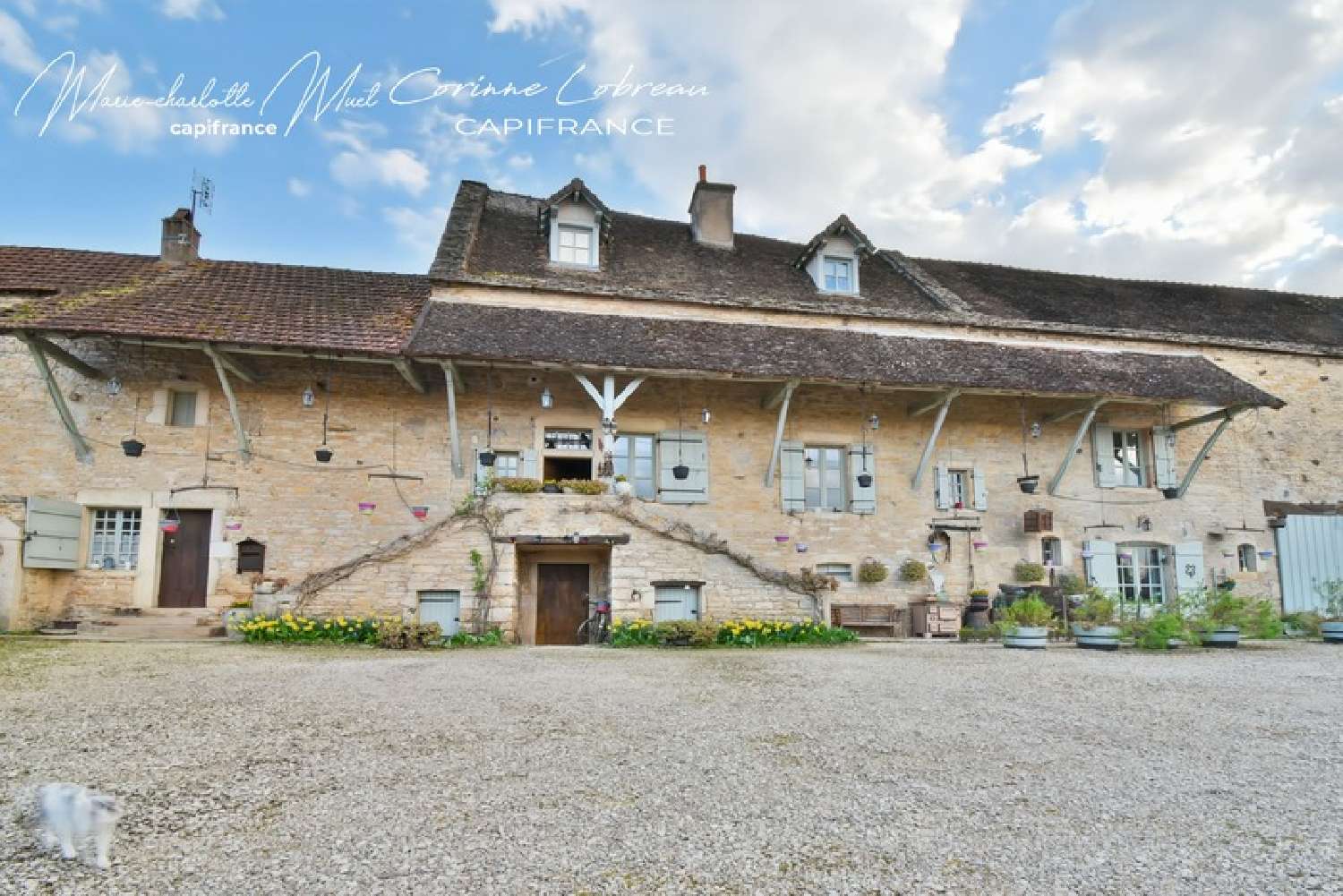  for sale farm Laives Saône-et-Loire 2