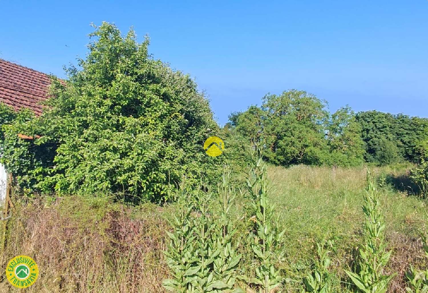  à vendre ferme Levet Cher 8