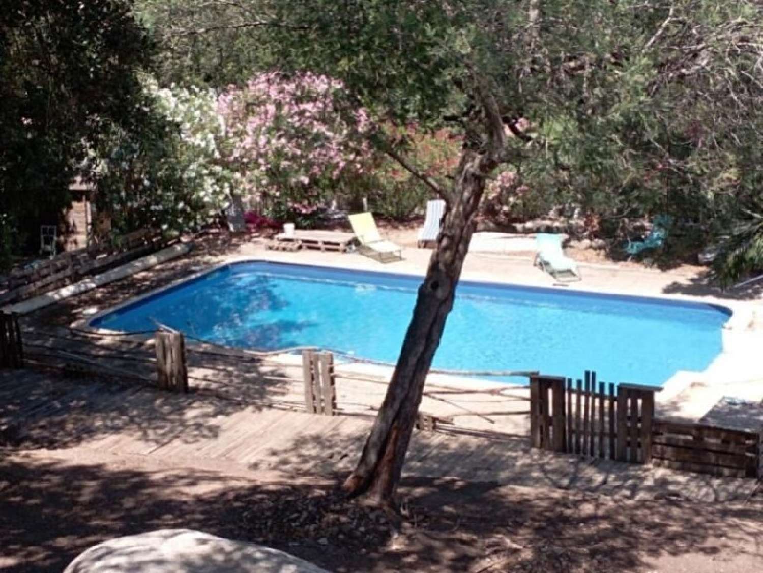  à vendre ferme Levie Corse-du-Sud 1