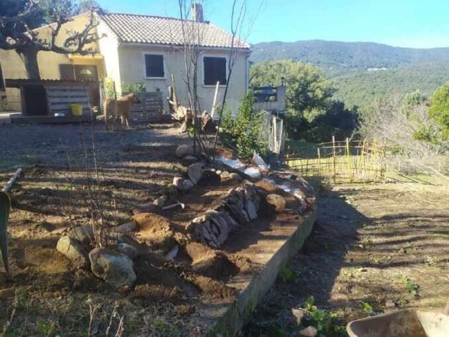  à vendre ferme Levie Corse-du-Sud 2