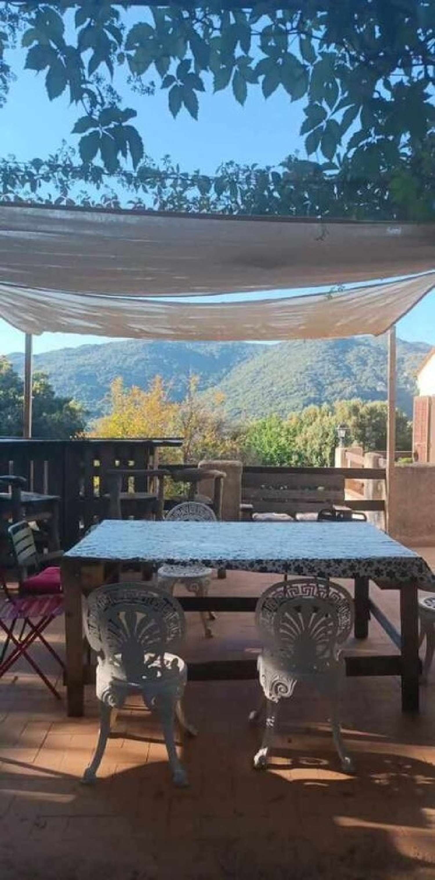  à vendre ferme Levie Corse-du-Sud 8