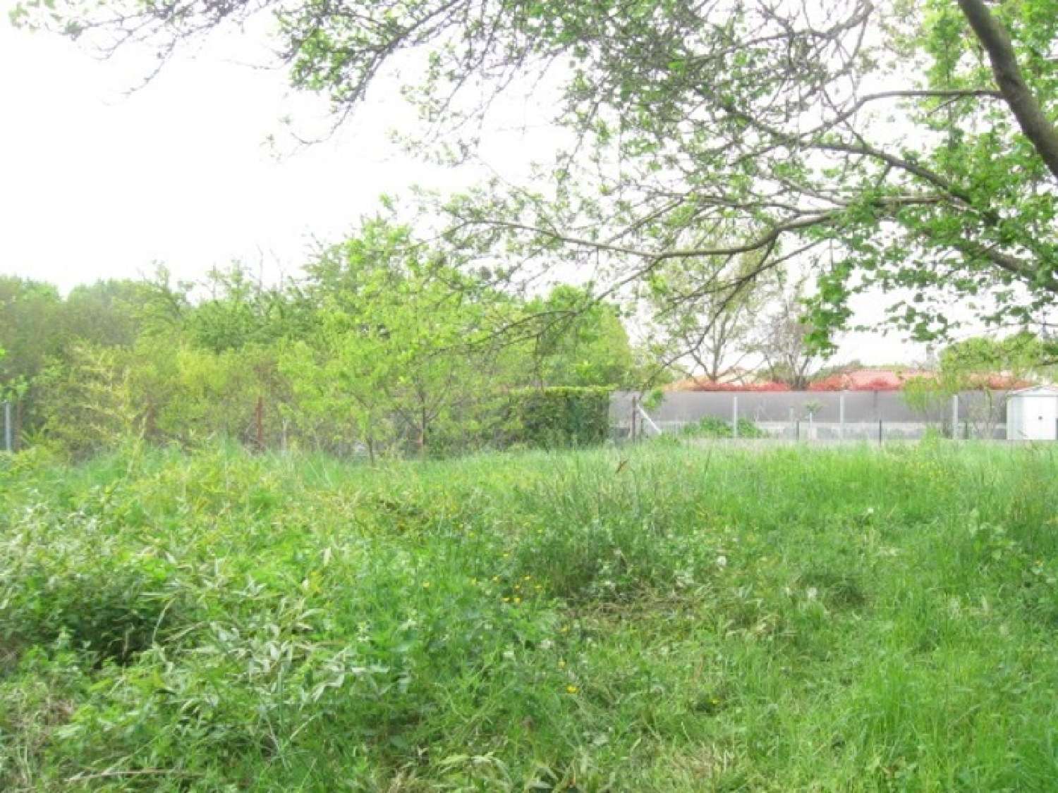  te koop boerderij Lezoux Puy-de-Dôme 5