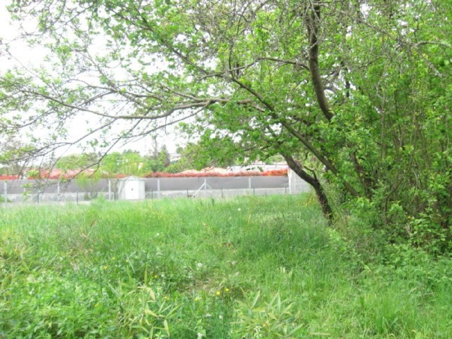  te koop boerderij Lezoux Puy-de-Dôme 6