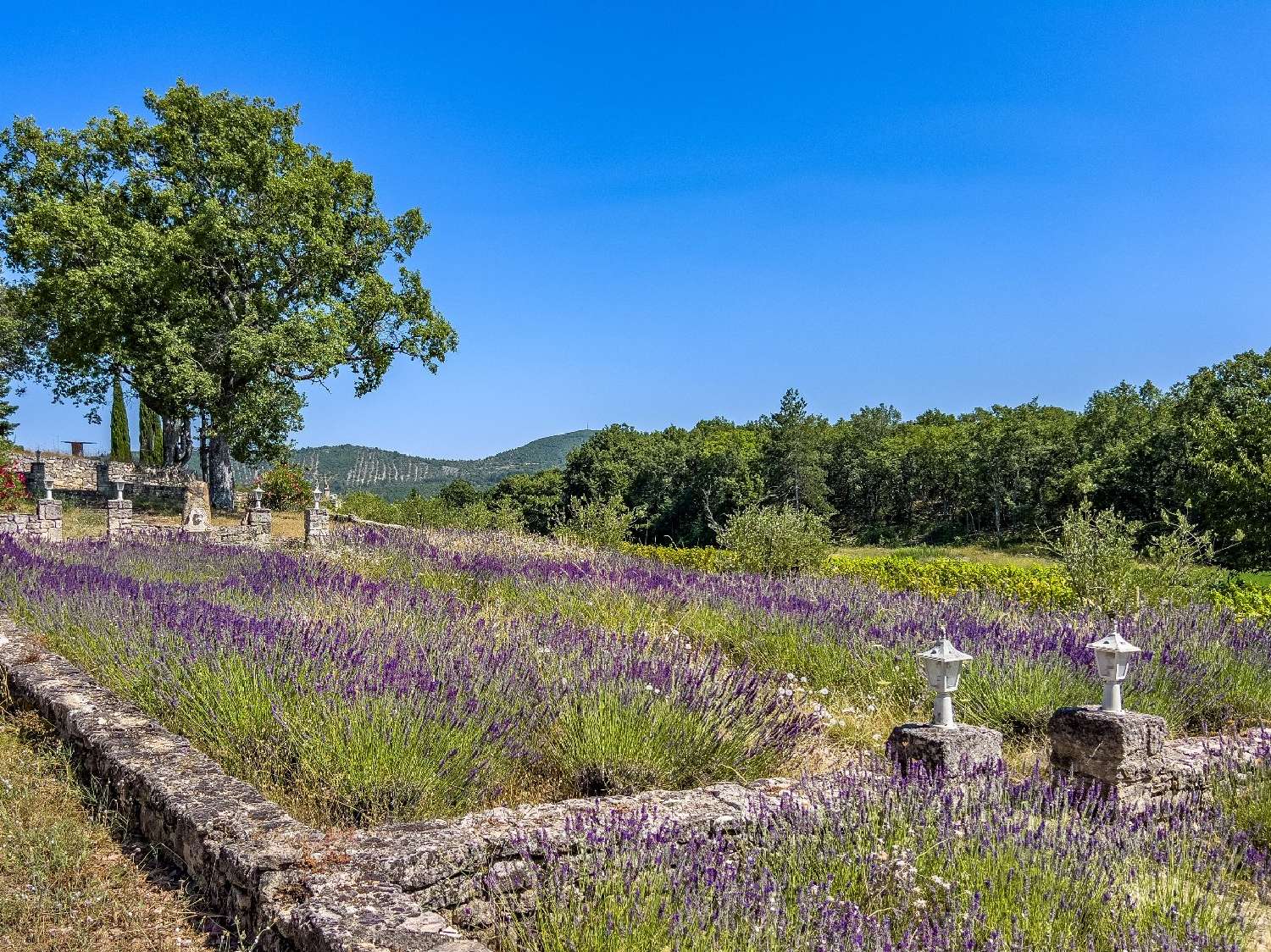  te koop boerderij Reillanne Alpes-de-Haute-Provence 6