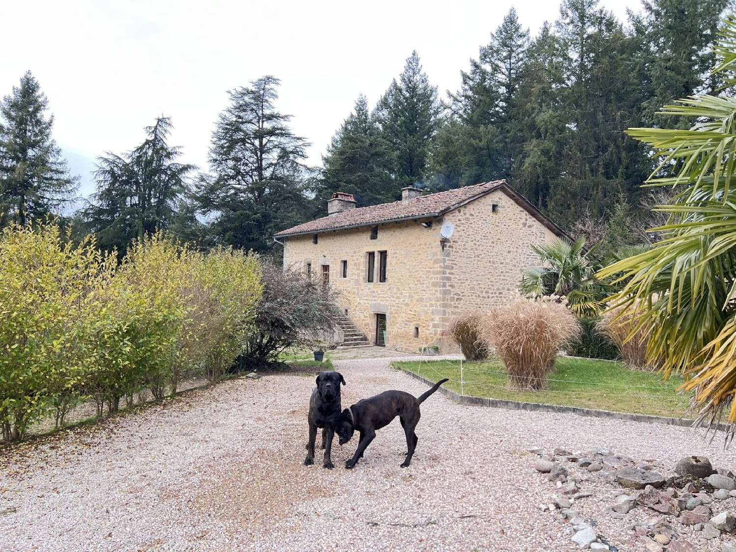  en venta casa rústica Saint-Céré Lot 8