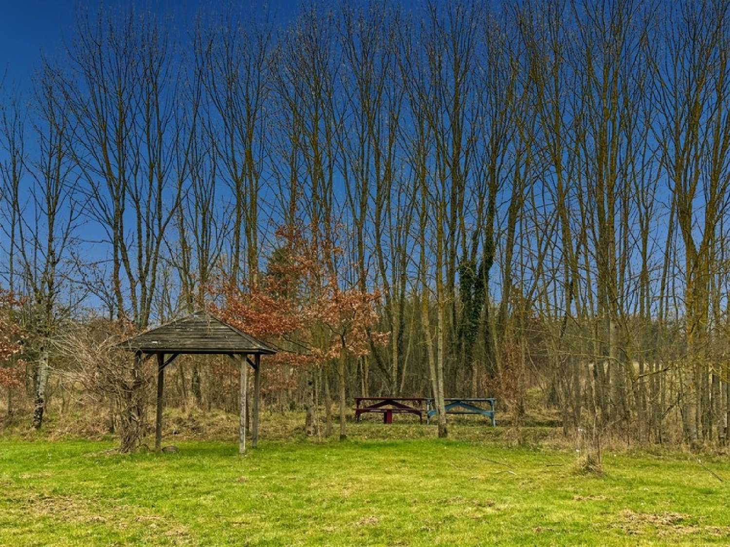  te koop boerderij Saint-Christophe-le-Chaudry Cher 5