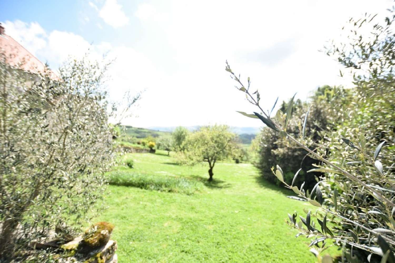  à vendre ferme Saint-Jean-de-Trézy Saône-et-Loire 7