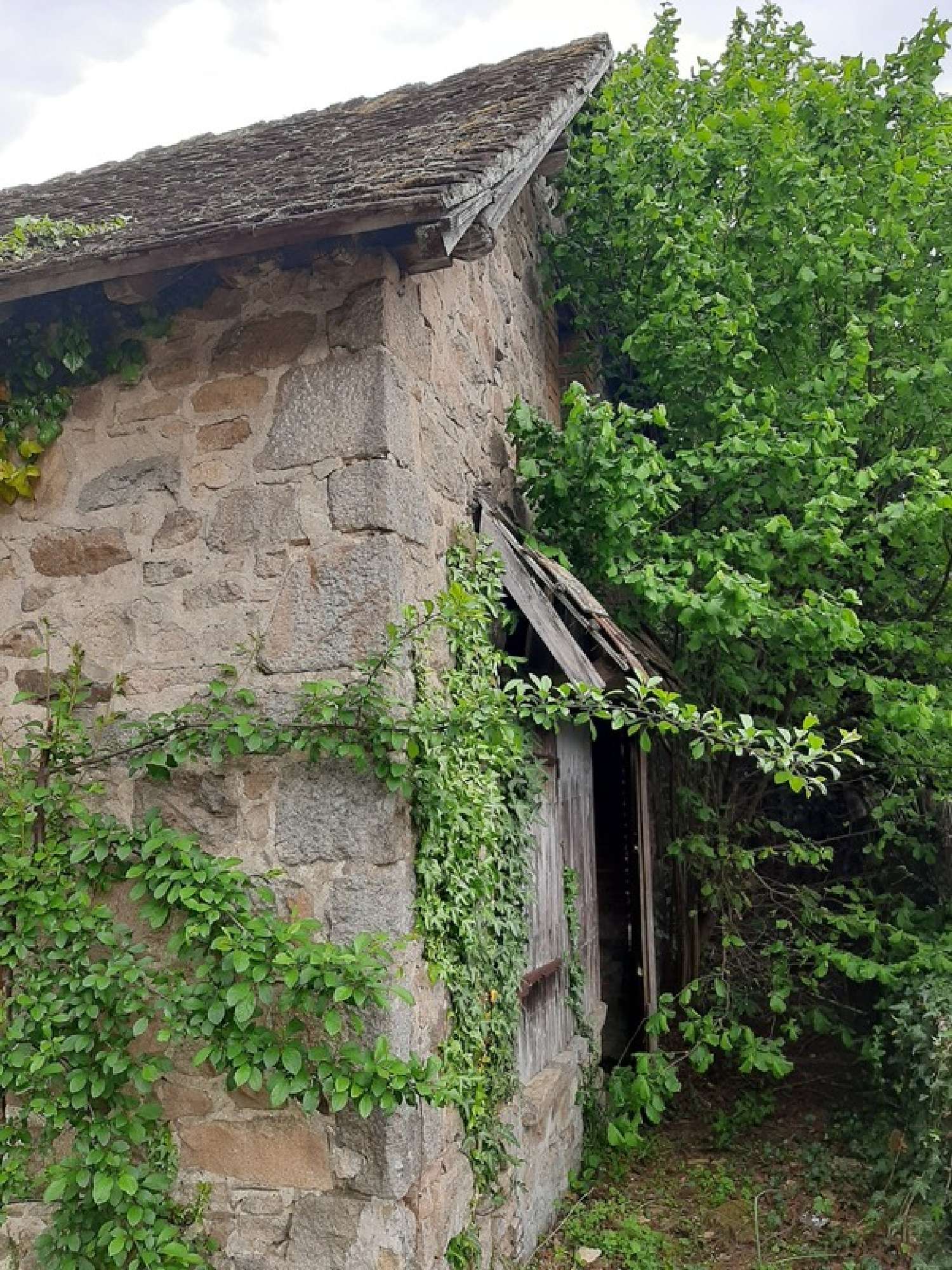  te koop boerderij Saint-Priest-Ligoure Haute-Vienne 3