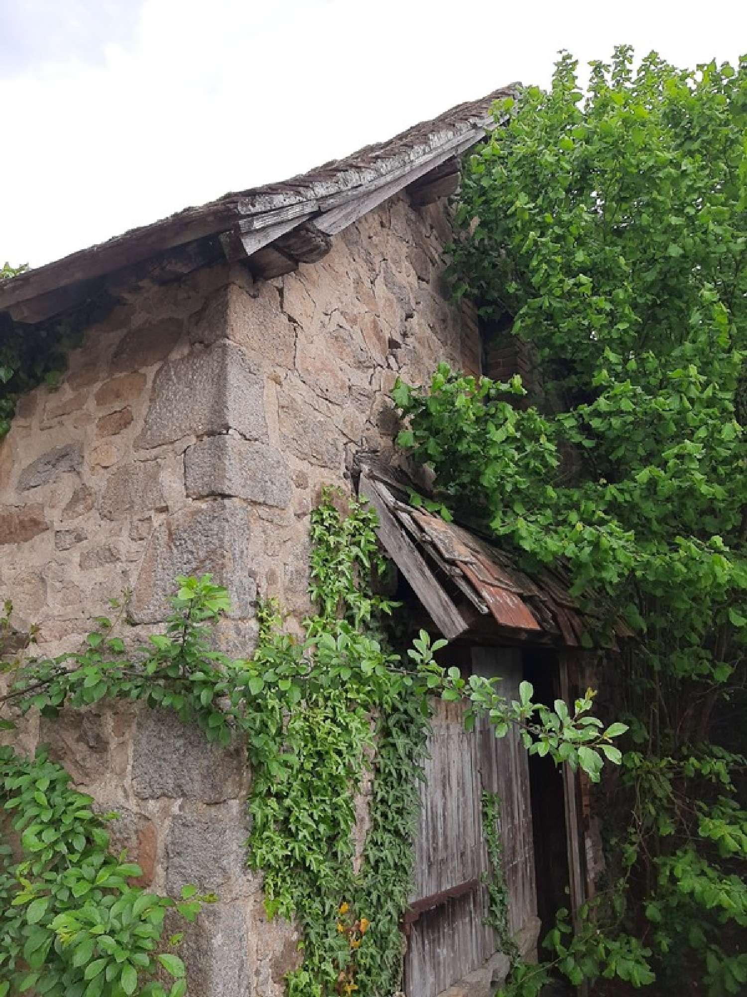  te koop boerderij Saint-Priest-Ligoure Haute-Vienne 4