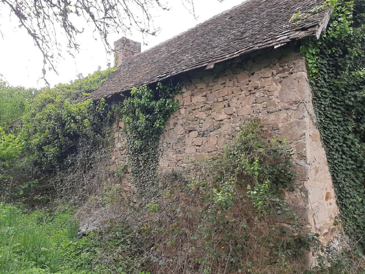  te koop boerderij Saint-Priest-Ligoure Haute-Vienne 5