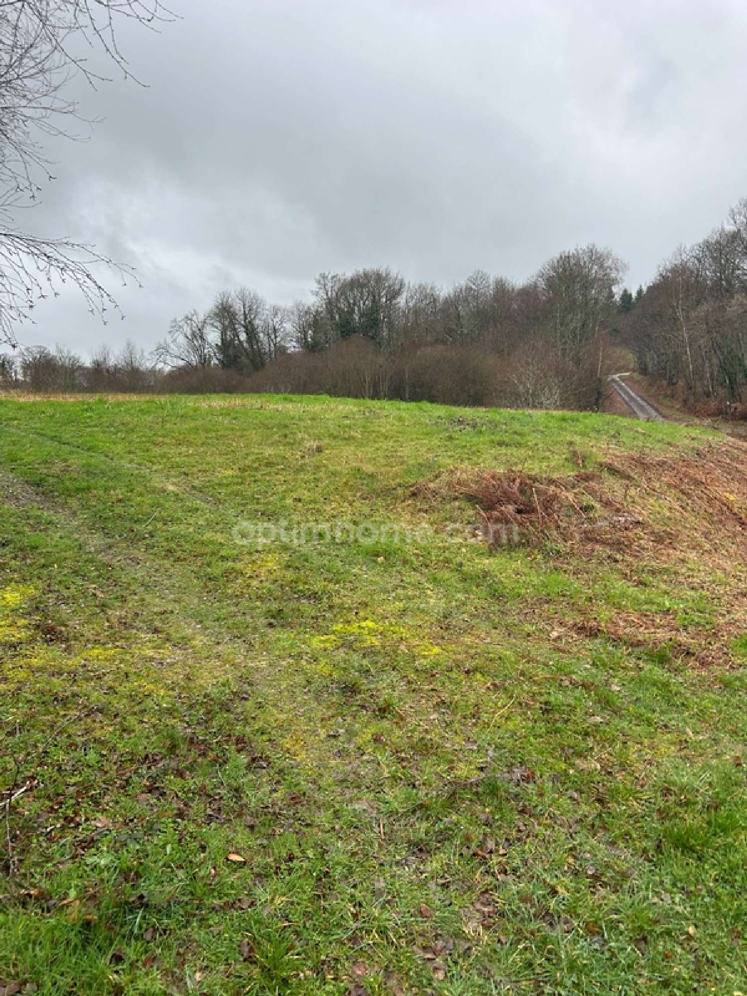  for sale farm Saint-Sornin-Leulac Haute-Vienne 6