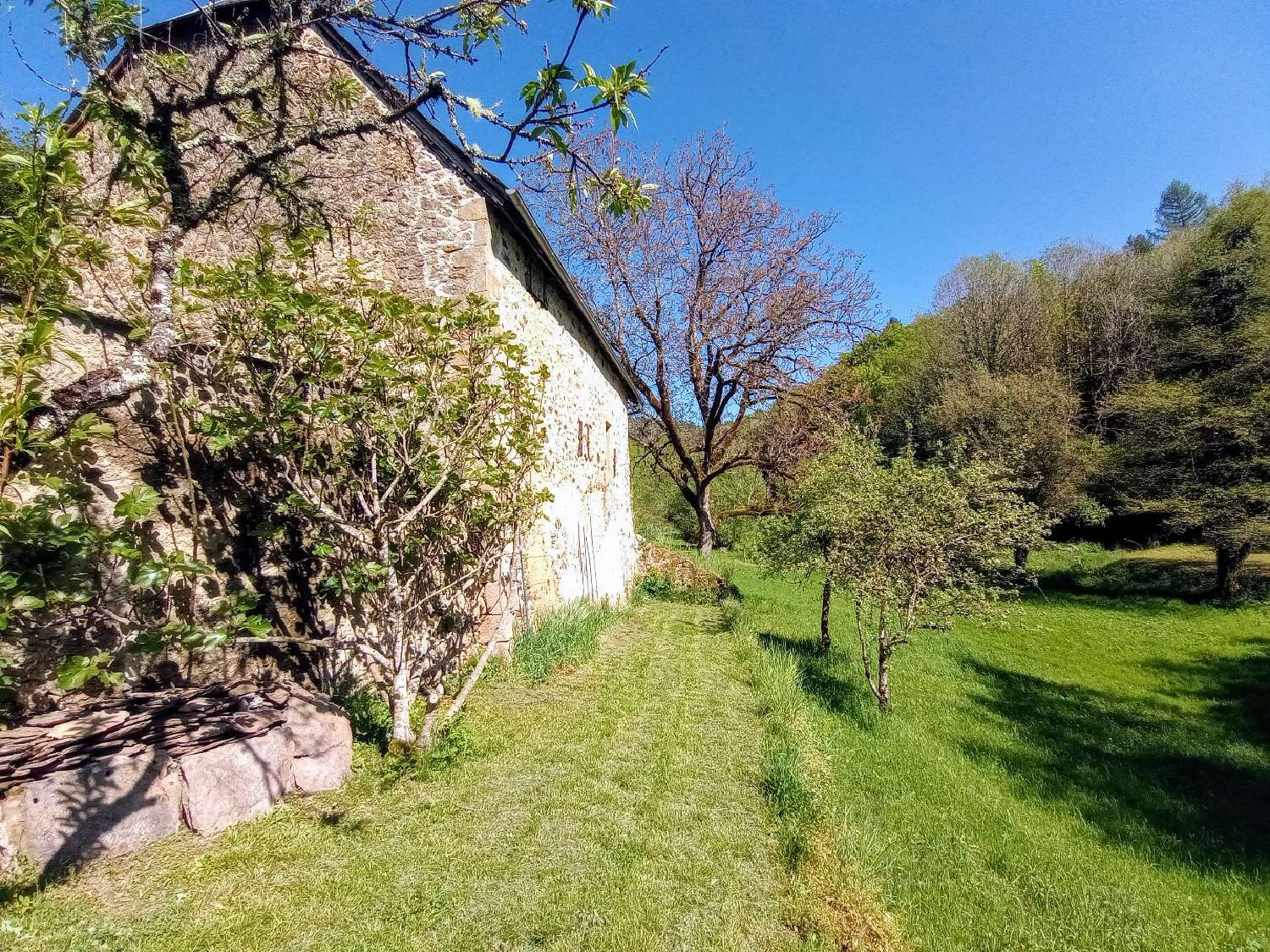  à vendre ferme Saint-Sylvain Corrèze 2