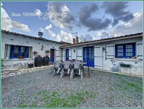 Sainte-Néomaye Deux-Sèvres Bauernhof Bild 7066818