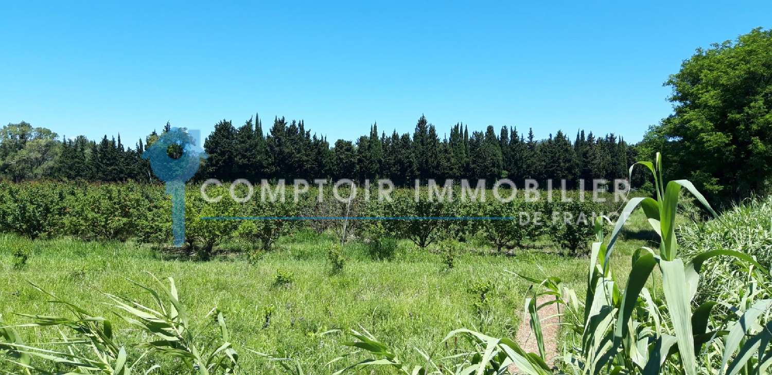  en venta casa rústica Vallabrègues Gard 1