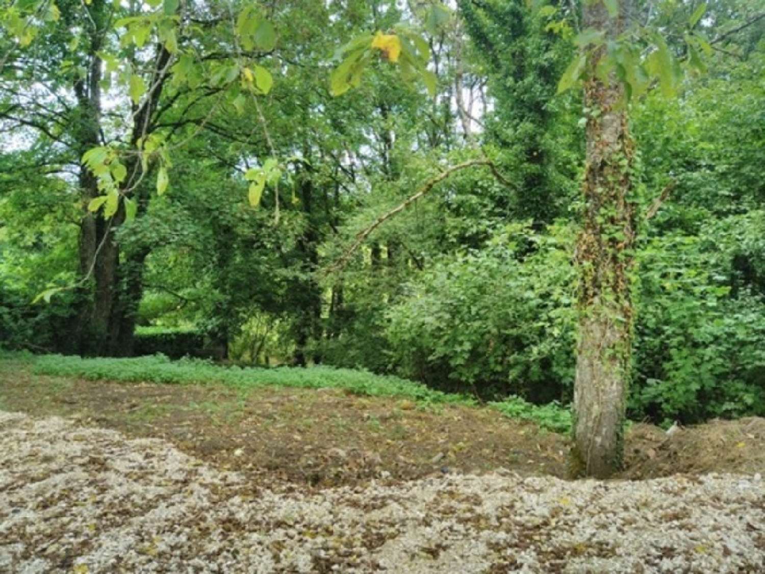 en venta casa rústica Vauconcourt-Nervezain Haute-Saône 3