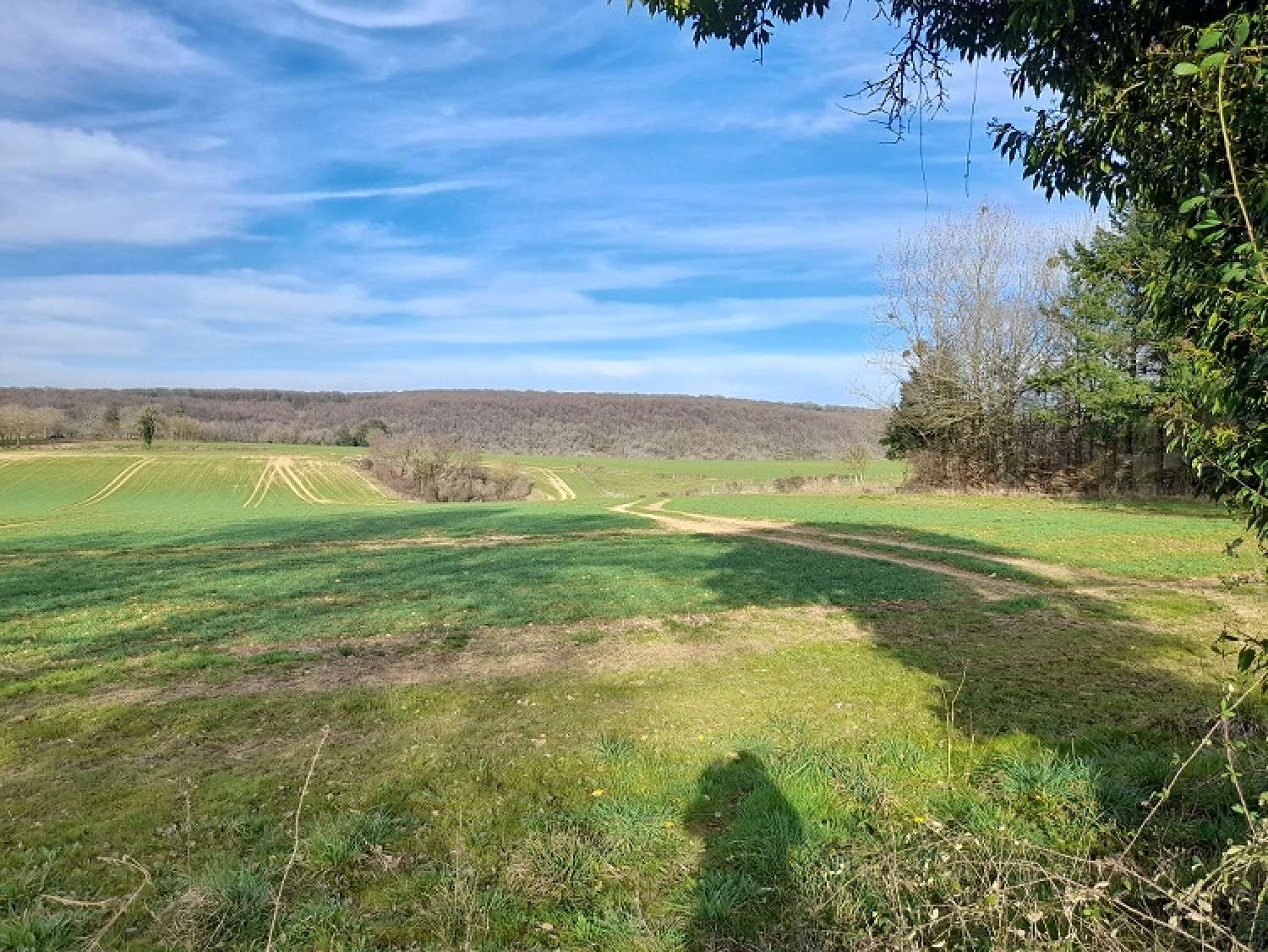  for sale farm Vielmanay Nièvre 5