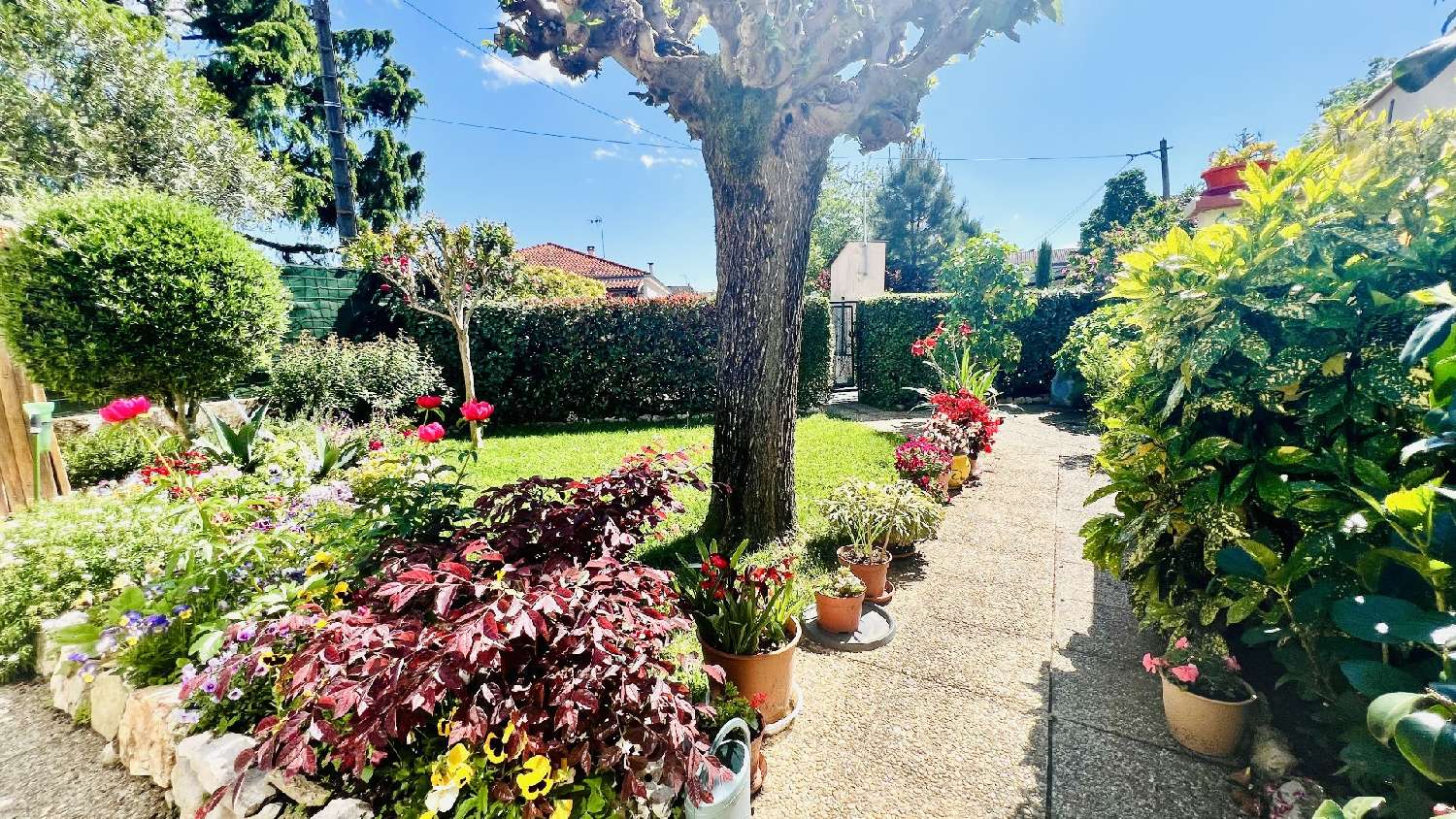  te koop huis Albi Tarn 2