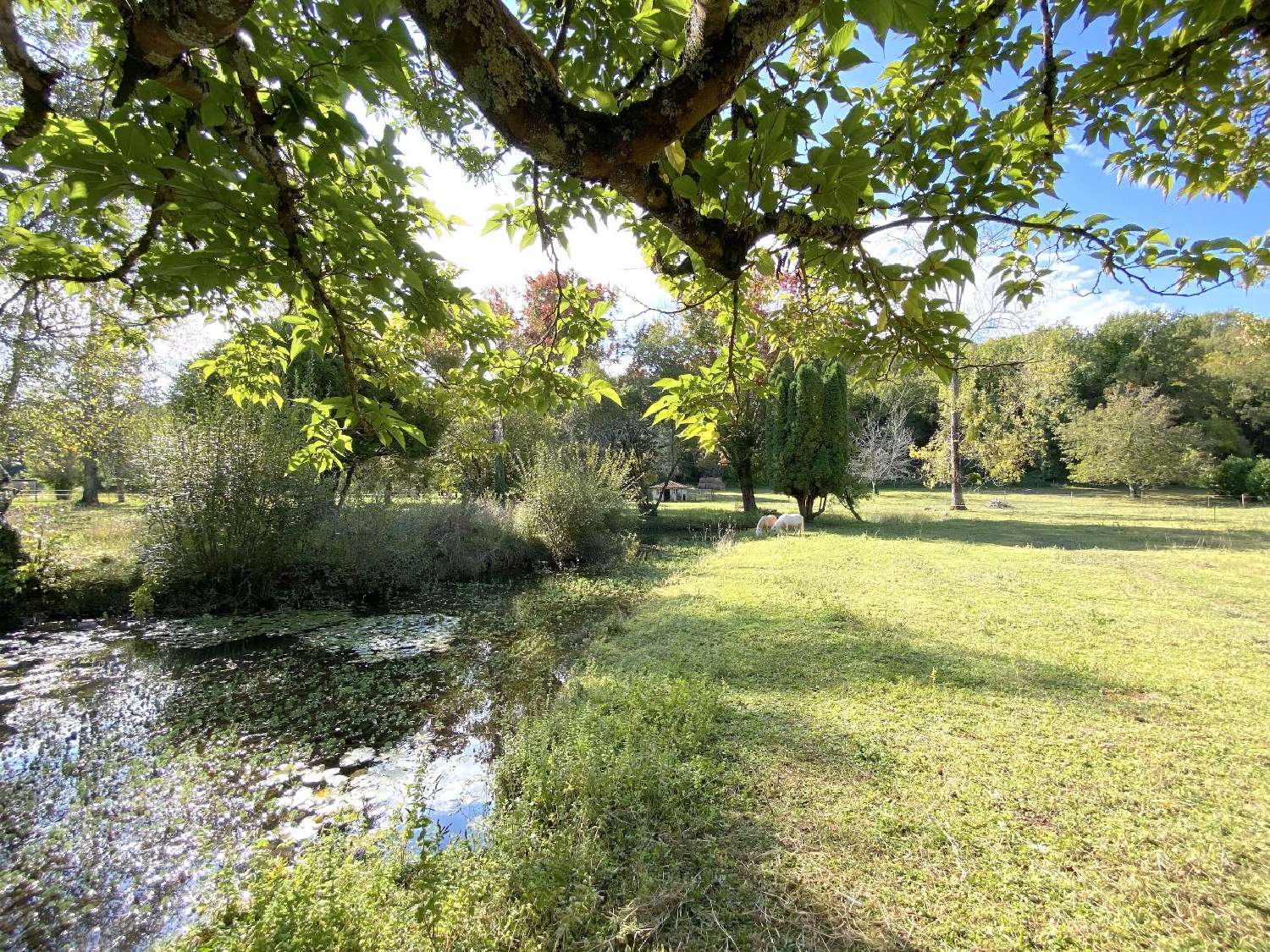  for sale house Angoulême Charente 5
