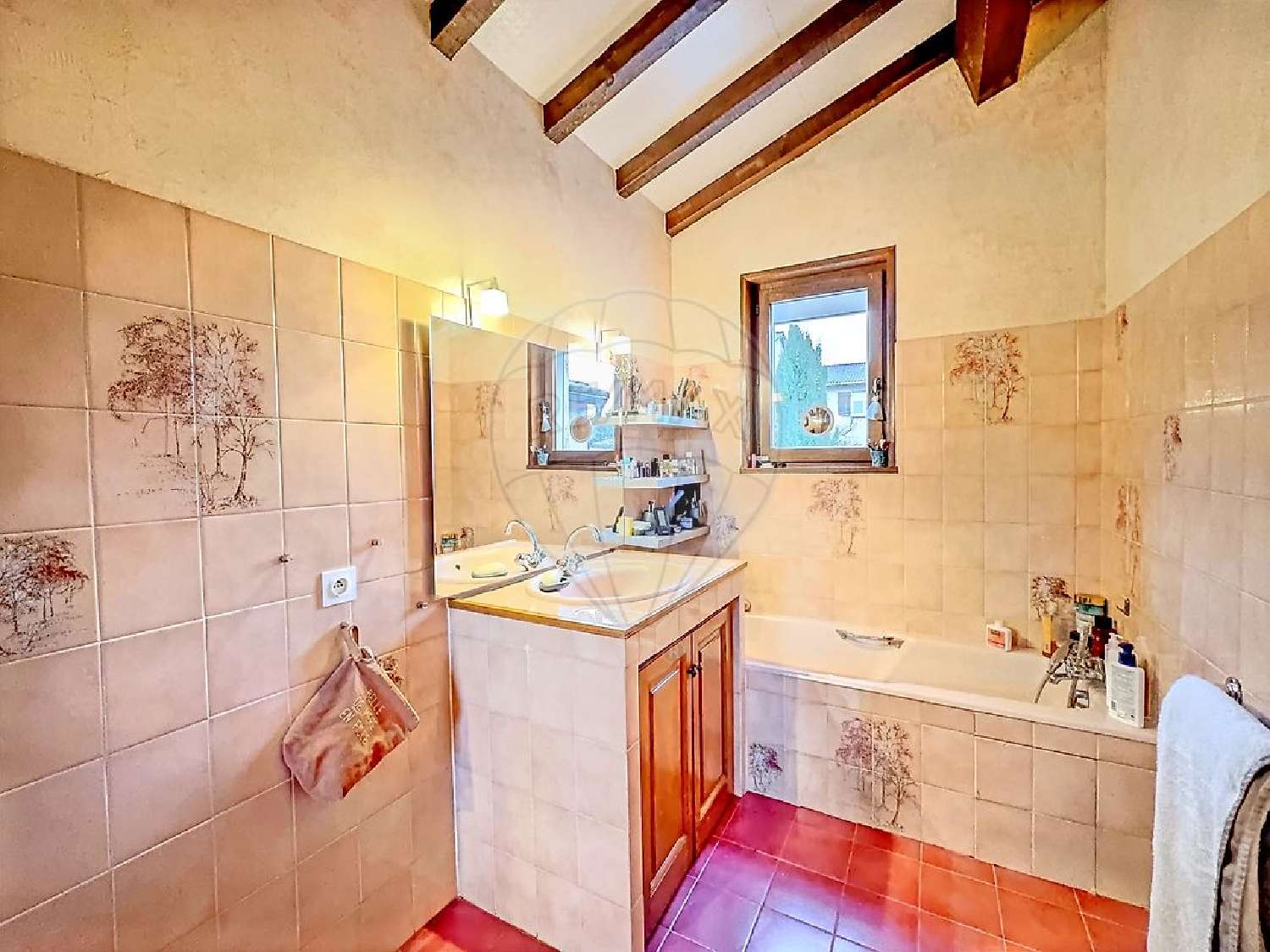  te koop huis Anse Rhône 8