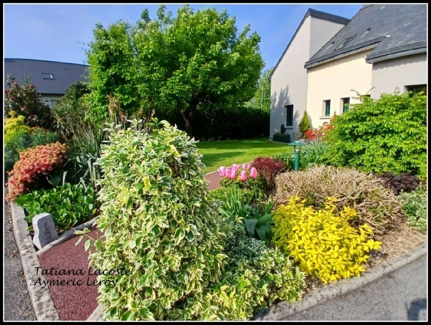  kaufen Haus Argentré-du-Plessis Ille-et-Vilaine 3