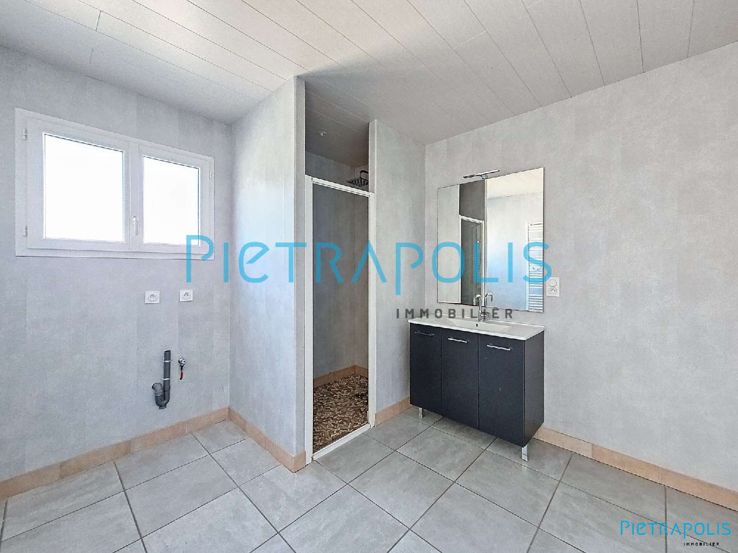  te koop huis Ars-sur-Formans Ain 7