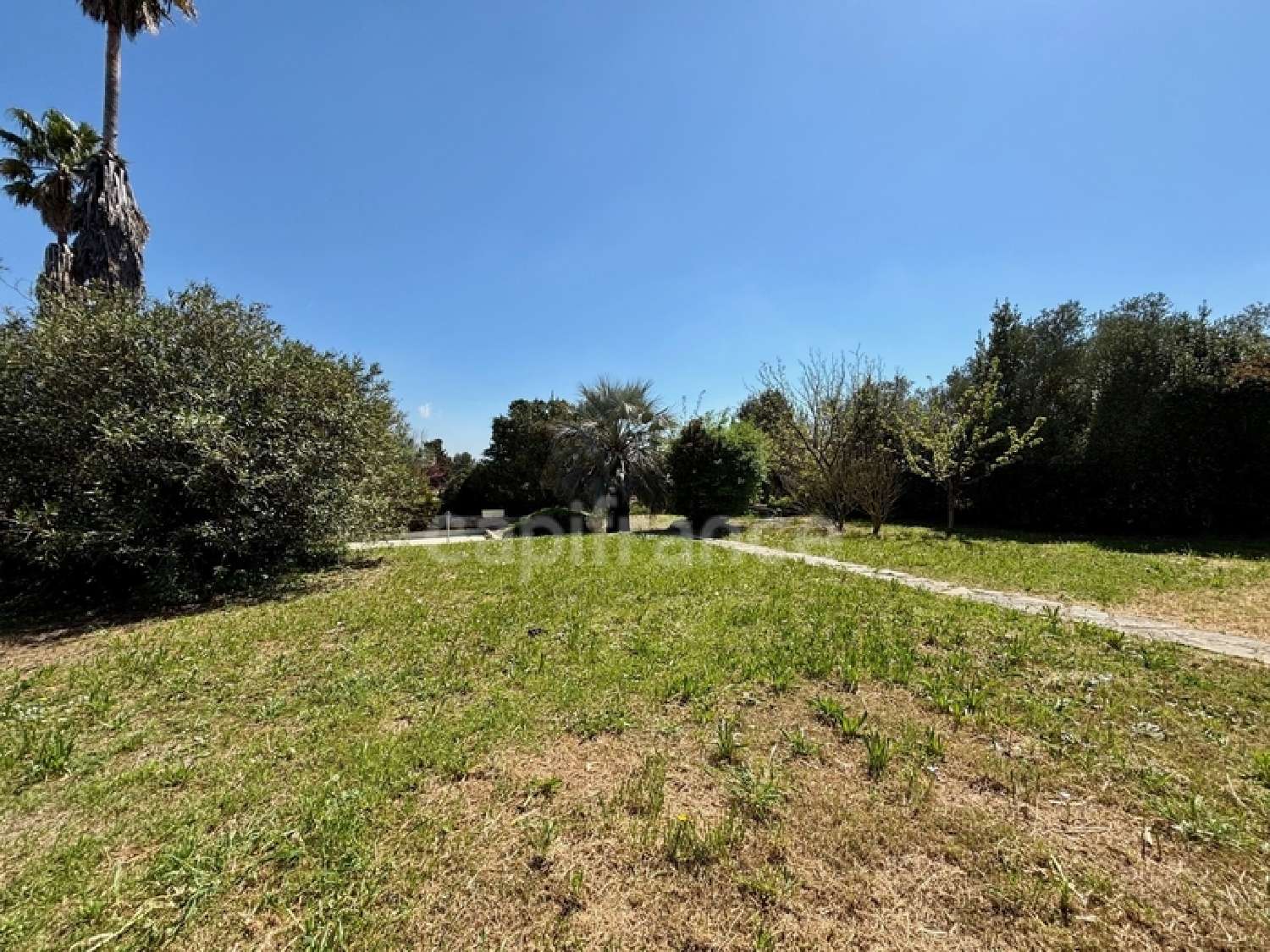  te koop huis Assas Hérault 2
