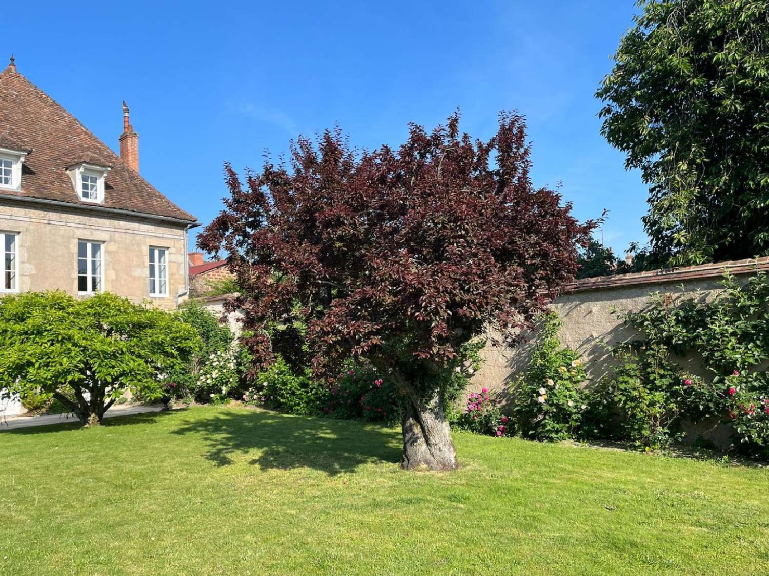  for sale house Autun Saône-et-Loire 3