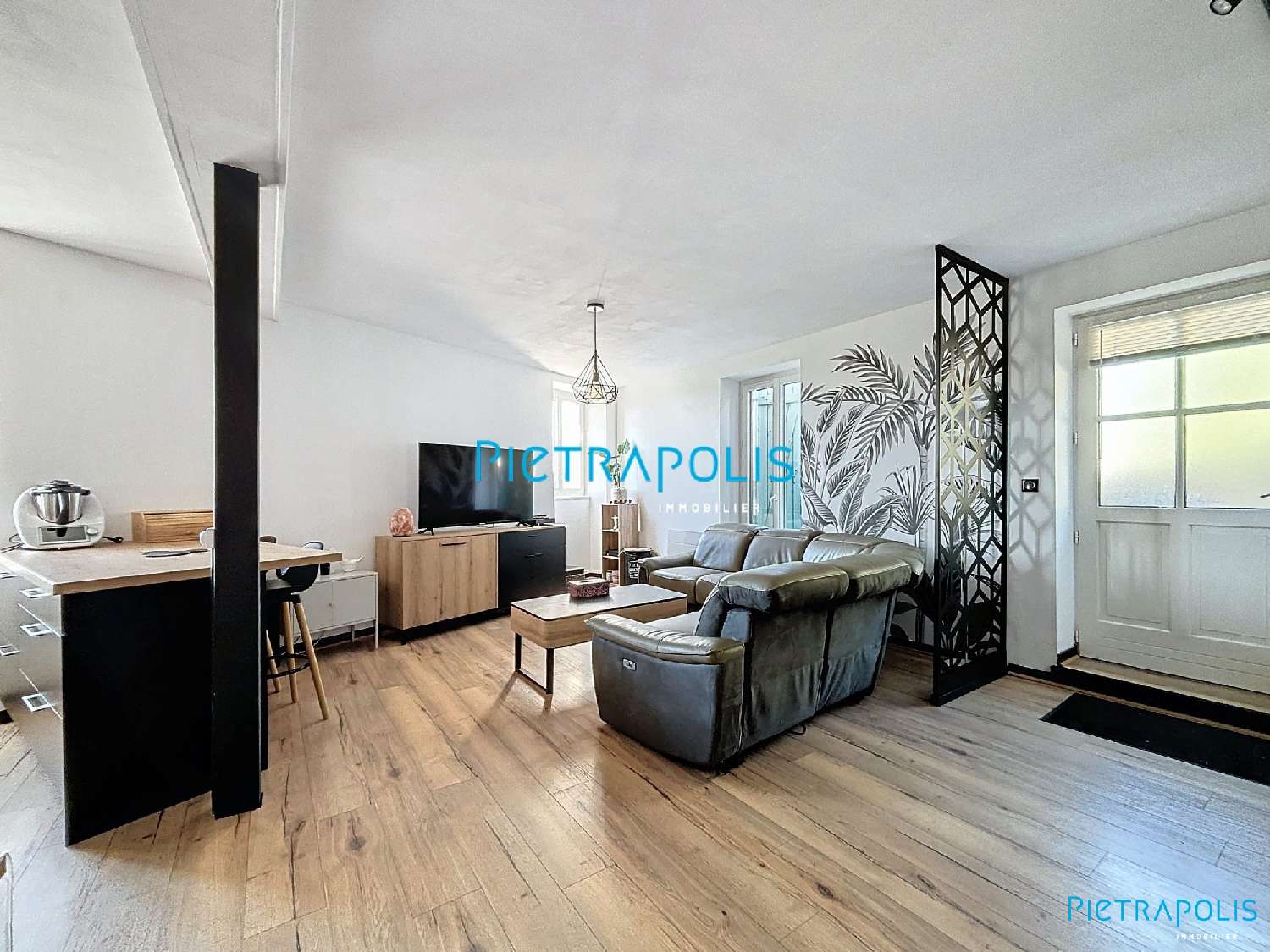  te koop huis Bâgé-le-Châtel Ain 6