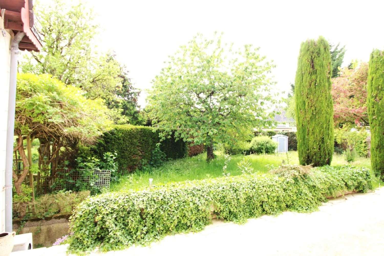  te koop huis Baugé-en-Anjou Maine-et-Loire 2