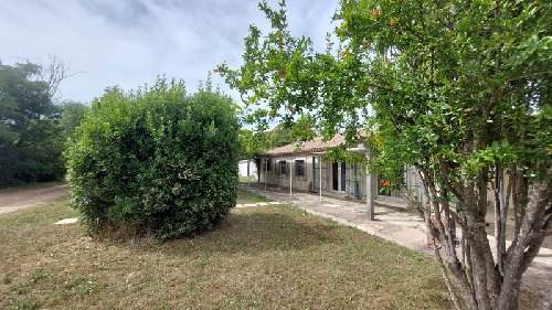 Beaucaire Gard Haus Bild 7067114