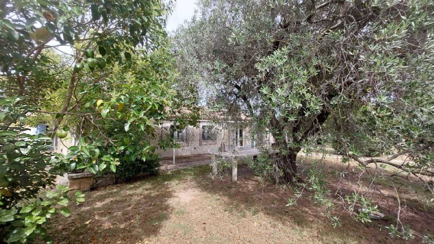  kaufen Haus Beaucaire Gard 5