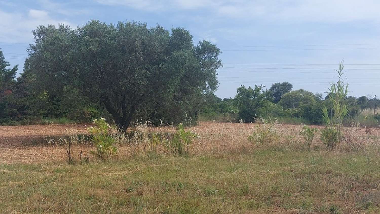  kaufen Haus Beaucaire Gard 8