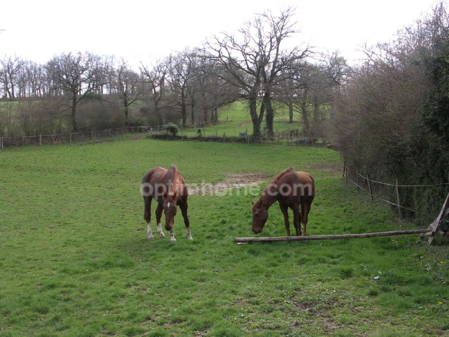  for sale house Bellac Haute-Vienne 2