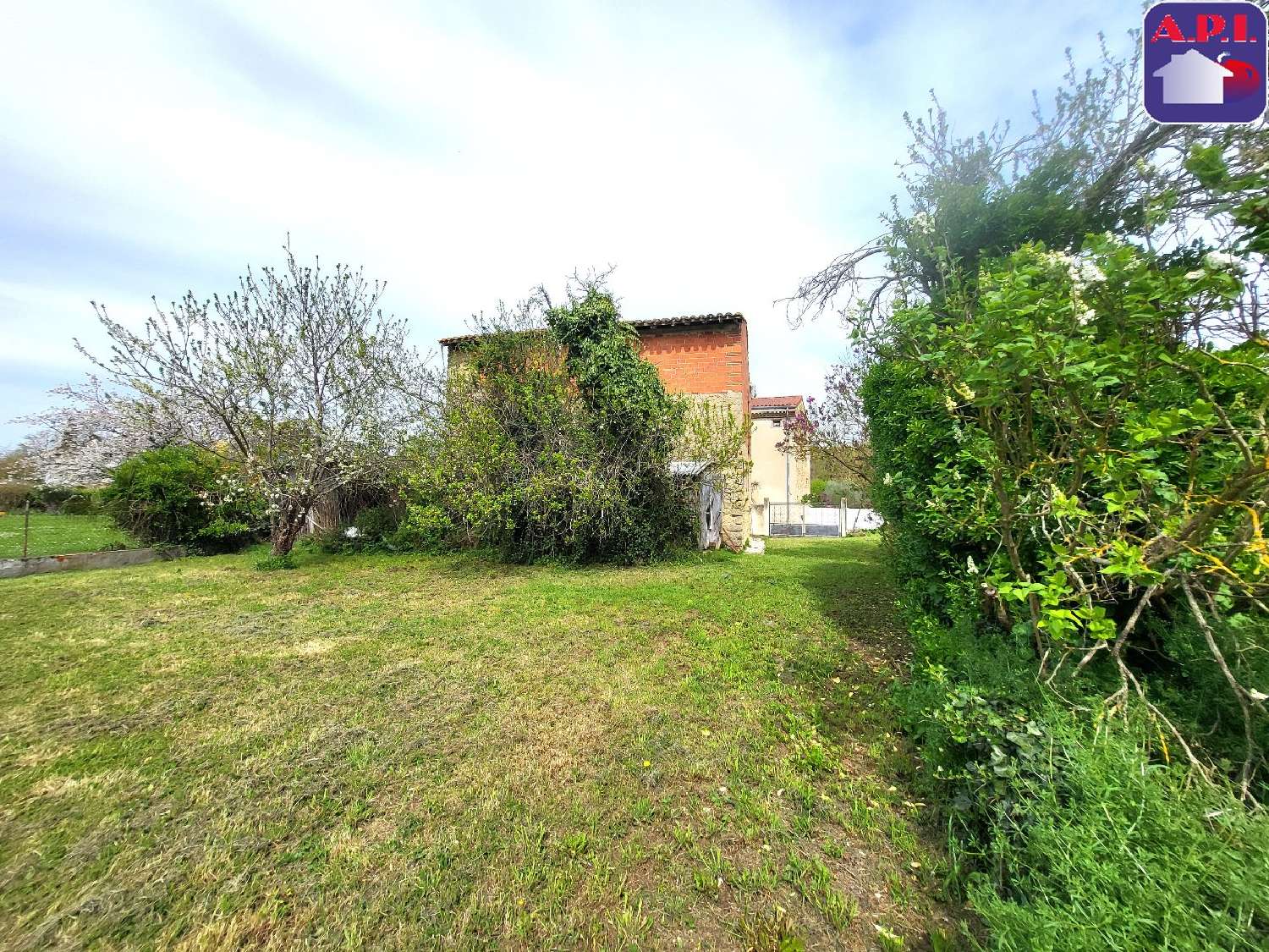  à vendre maison Belpech Aude 5