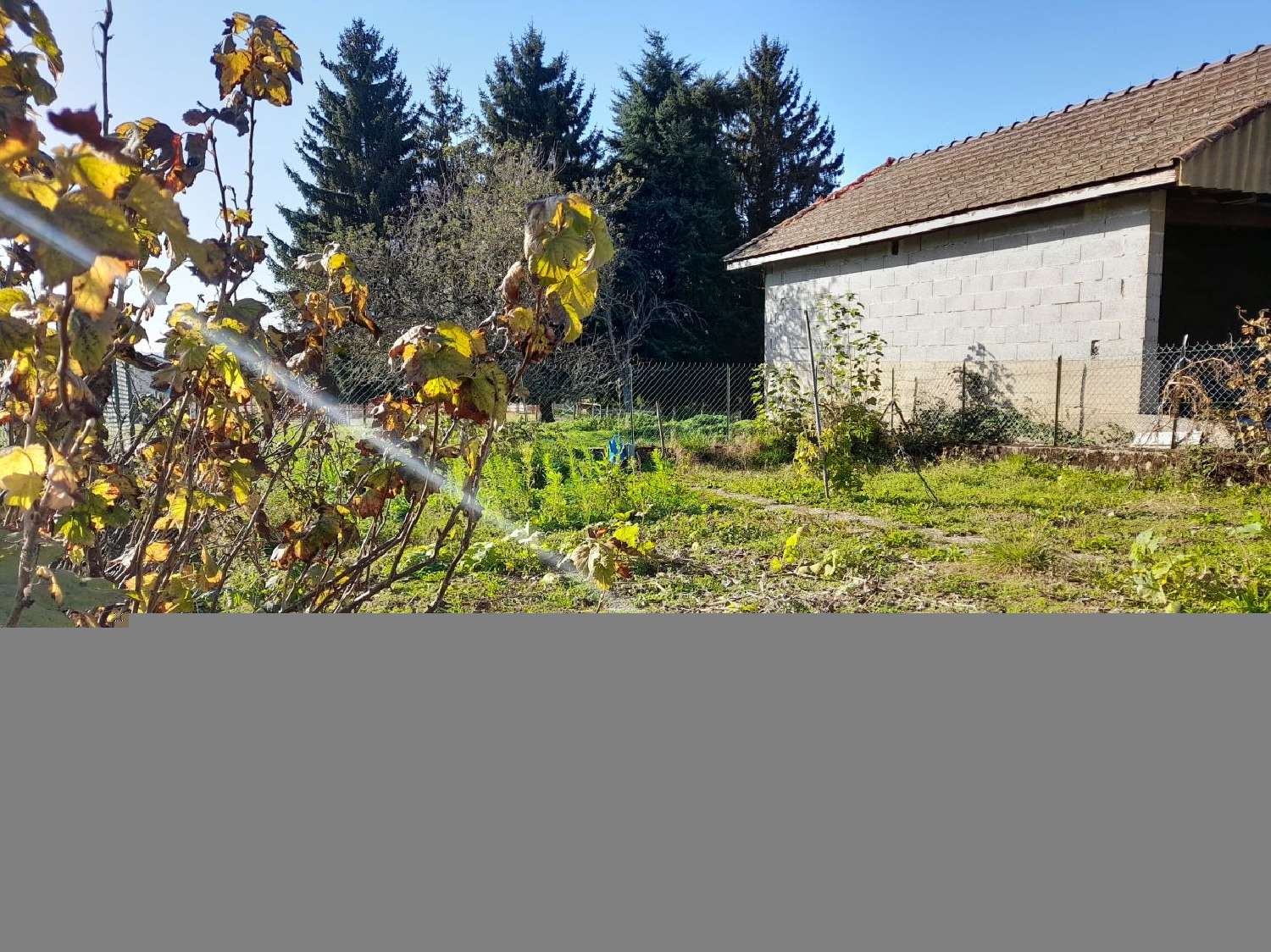 en venta casa Bilieu Isère 3