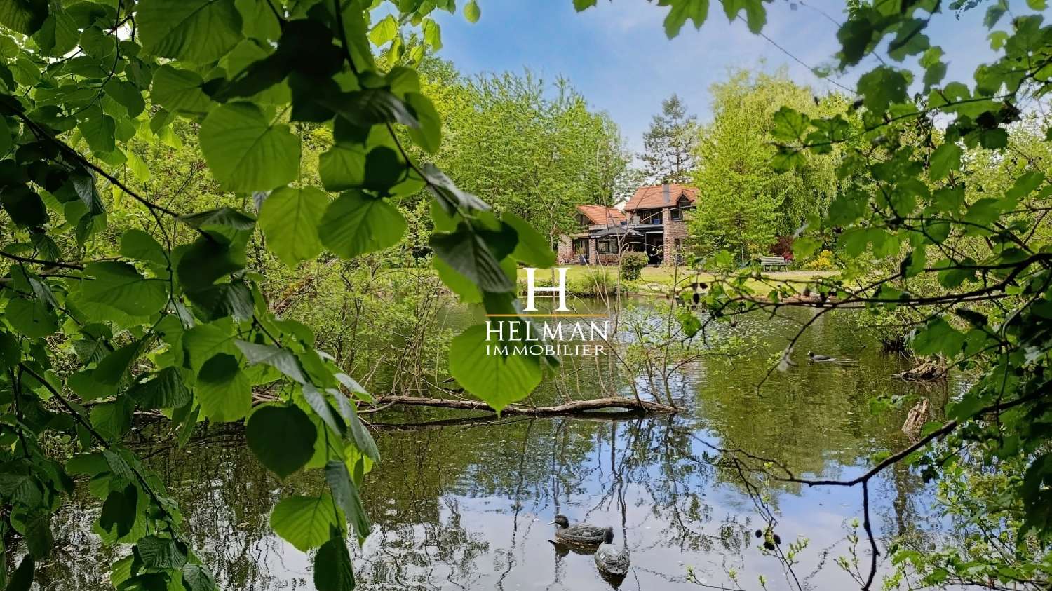  à vendre maison Blessy Pas-de-Calais 7