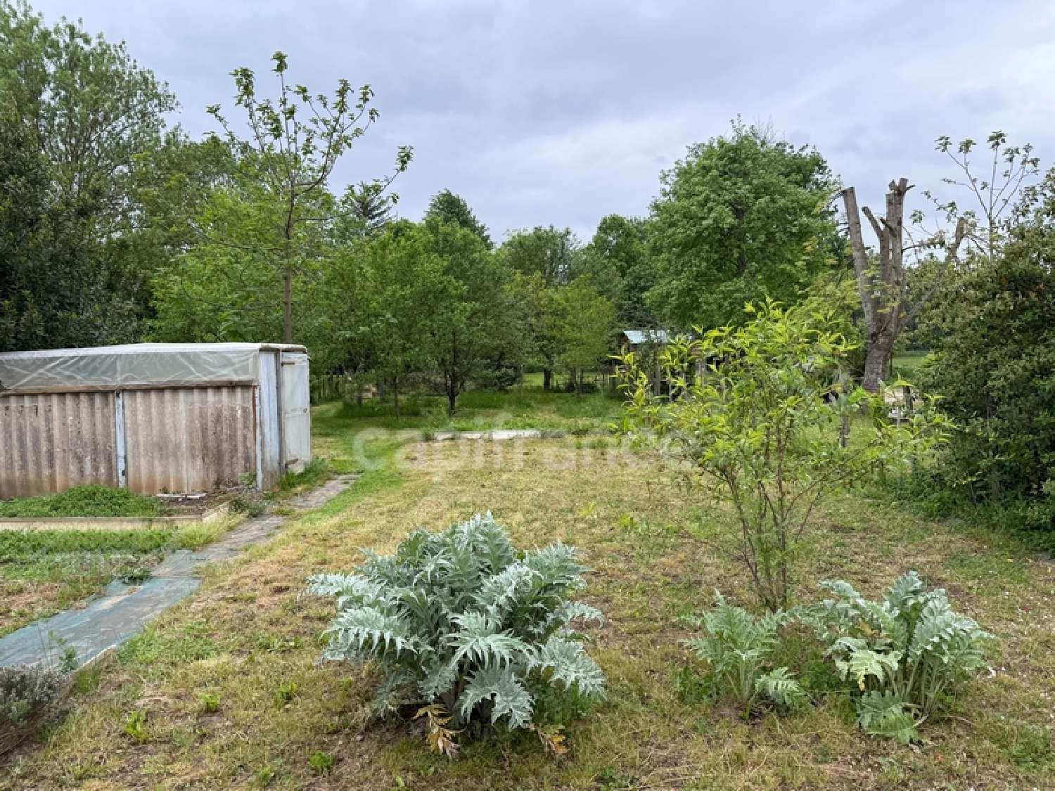  en venta casa Boyer Saône-et-Loire 4