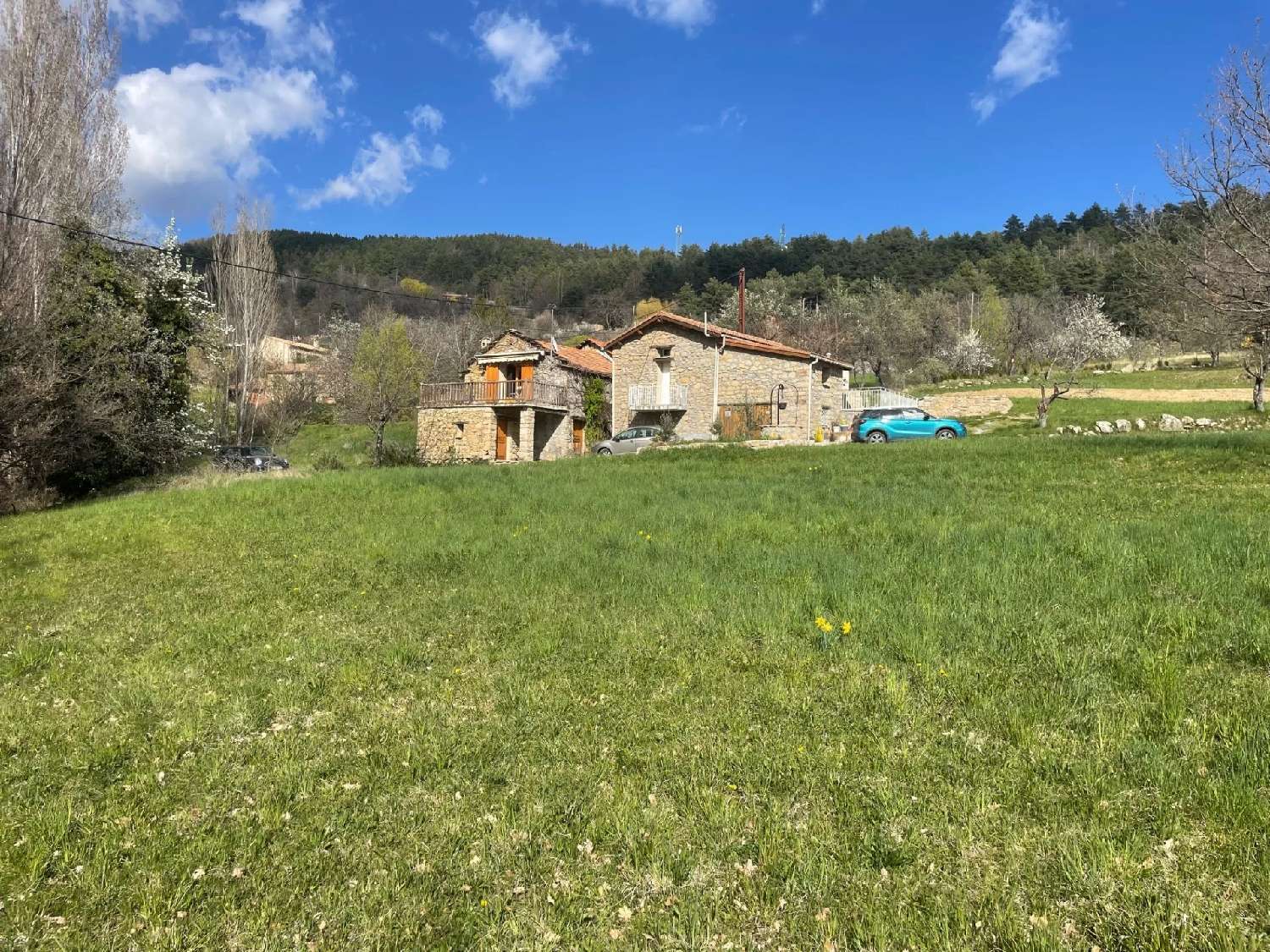  te koop huis Braux Alpes-de-Haute-Provence 7