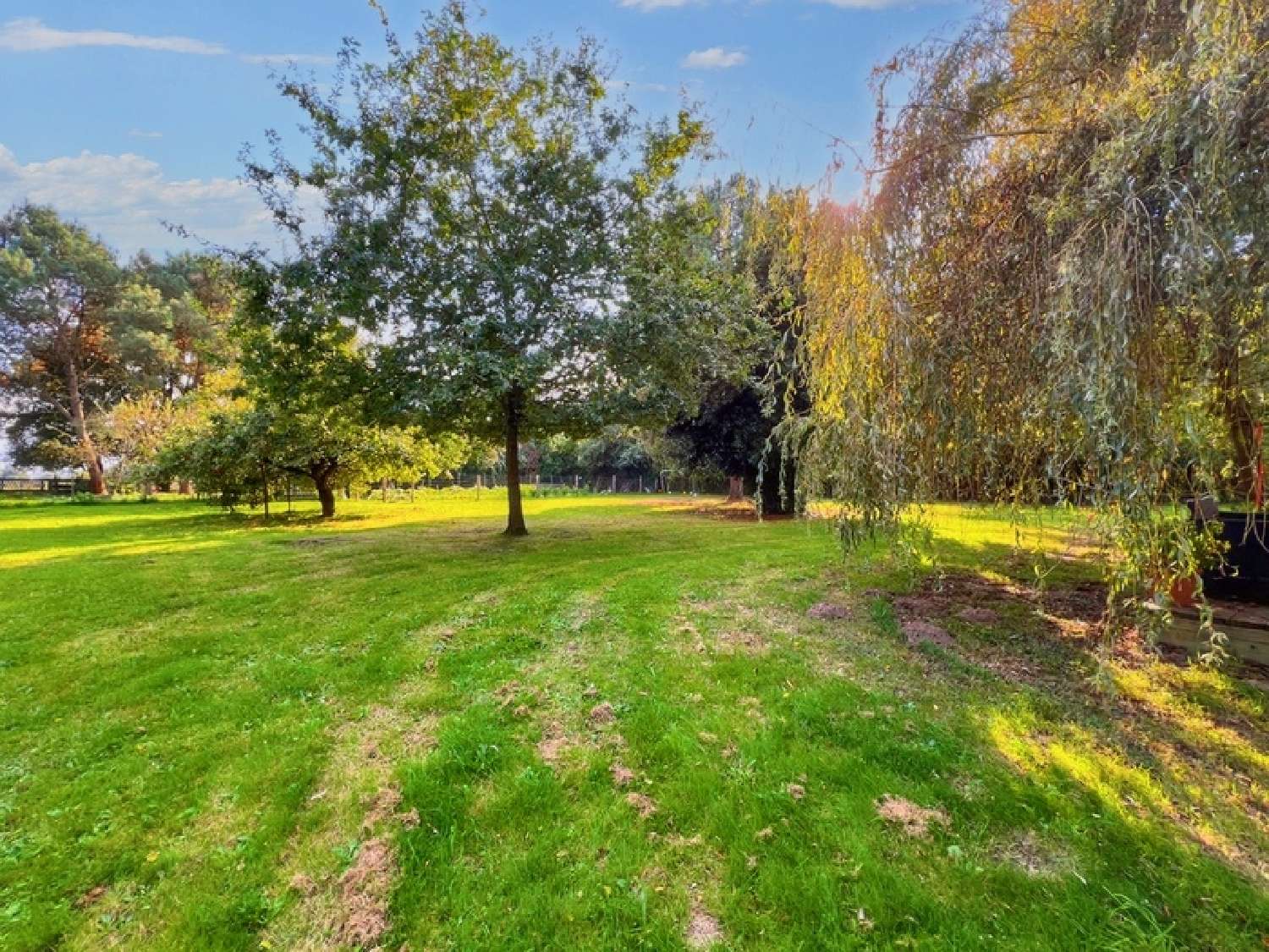  te koop huis Briollay Maine-et-Loire 8