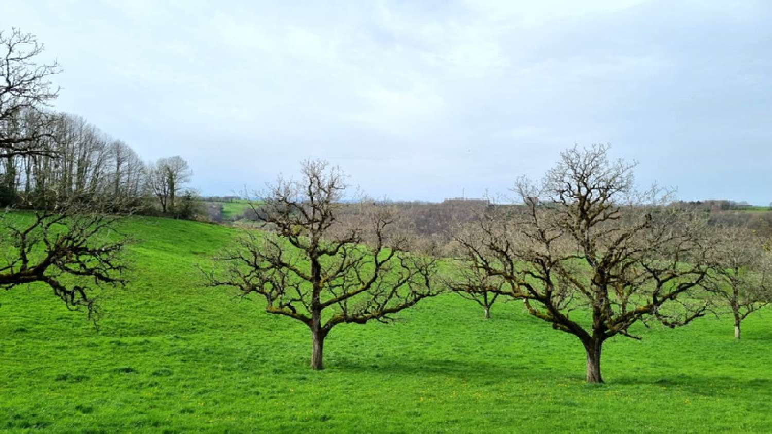  te koop huis Brivezac Corrèze 5