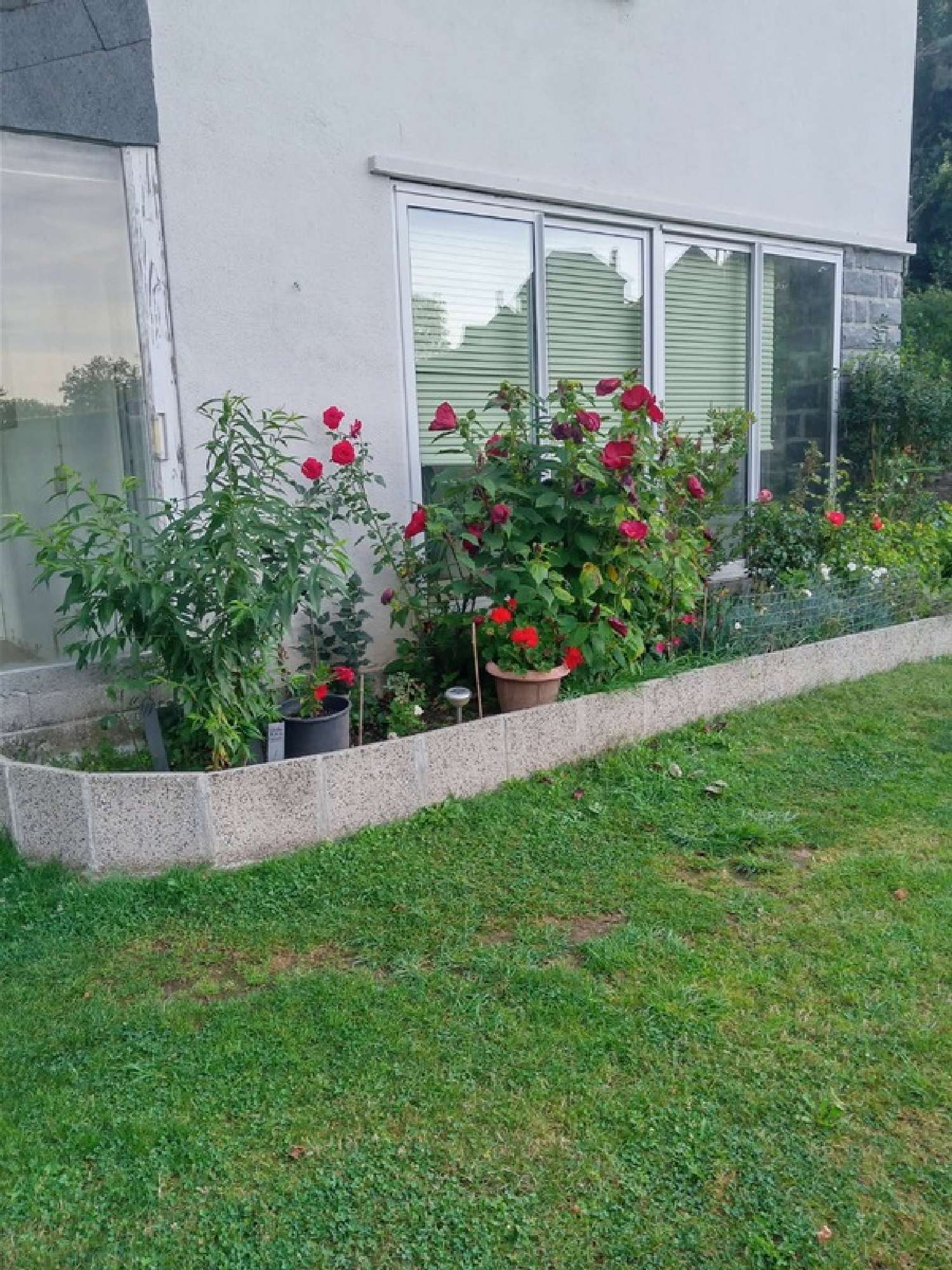  te koop huis Brivezac Corrèze 7