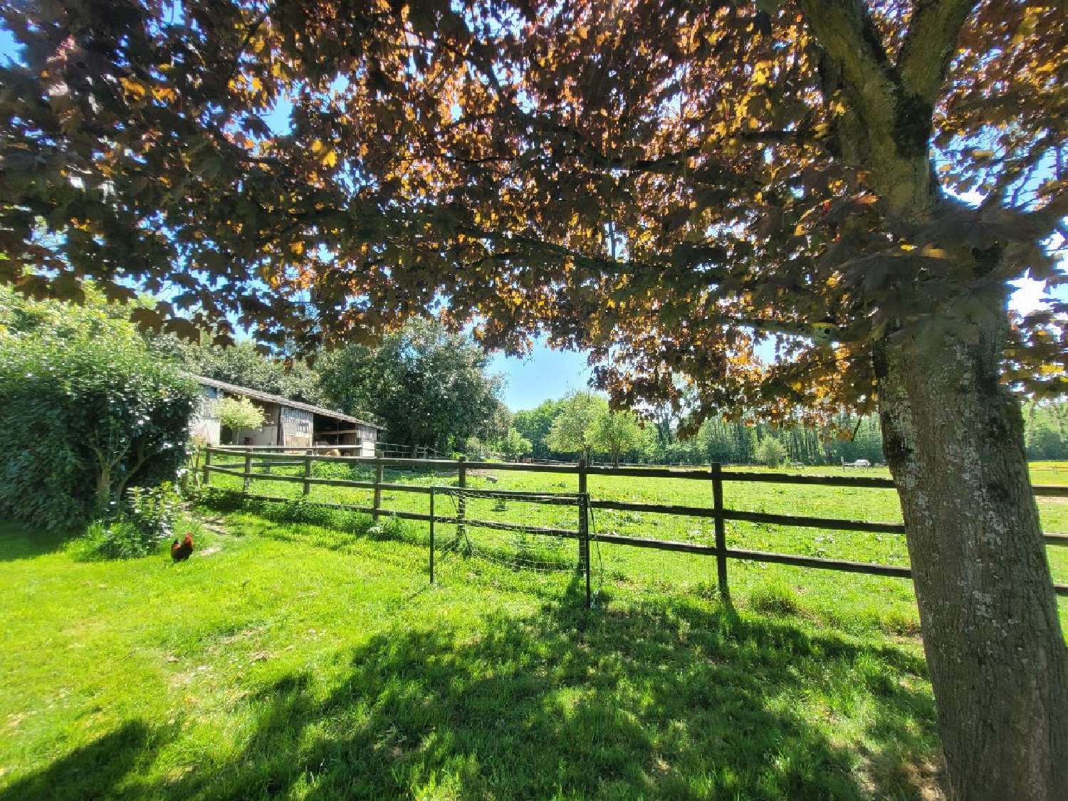  en venta casa Brunelles Eure-et-Loir 5