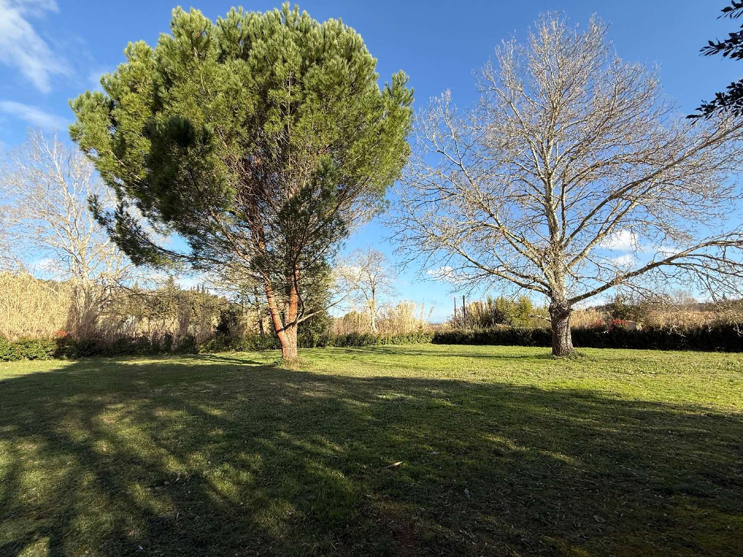  te koop huis Carcassonne Aude 5