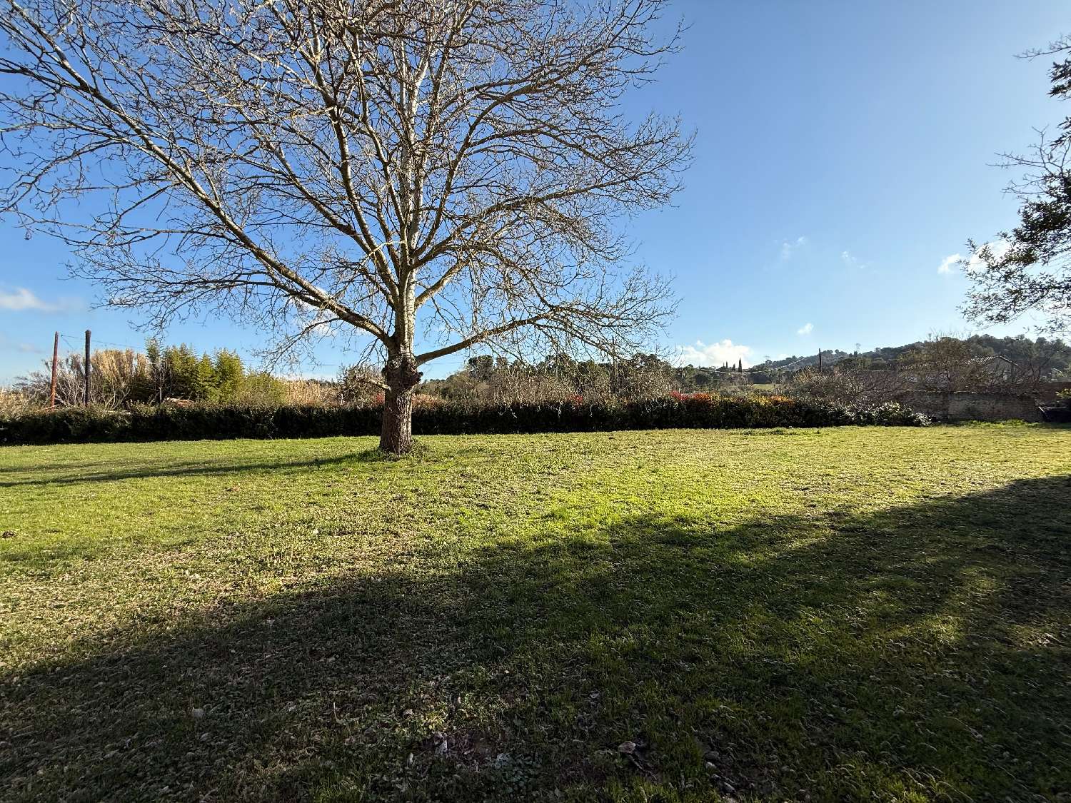  te koop huis Carcassonne Aude 6
