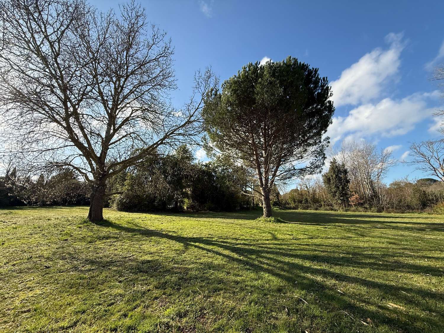  te koop huis Carcassonne Aude 7