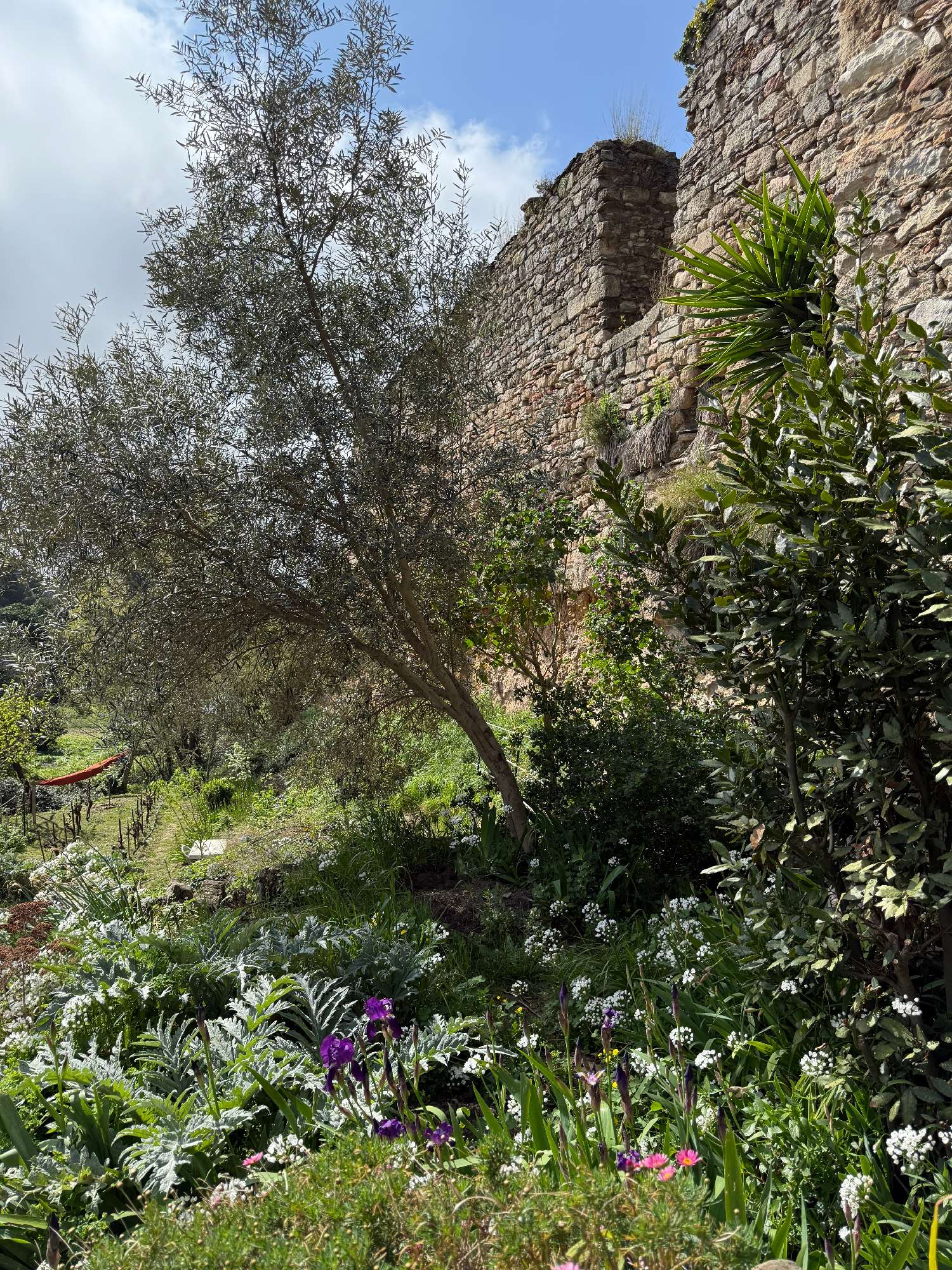  à vendre maison Carcassonne Aude 4