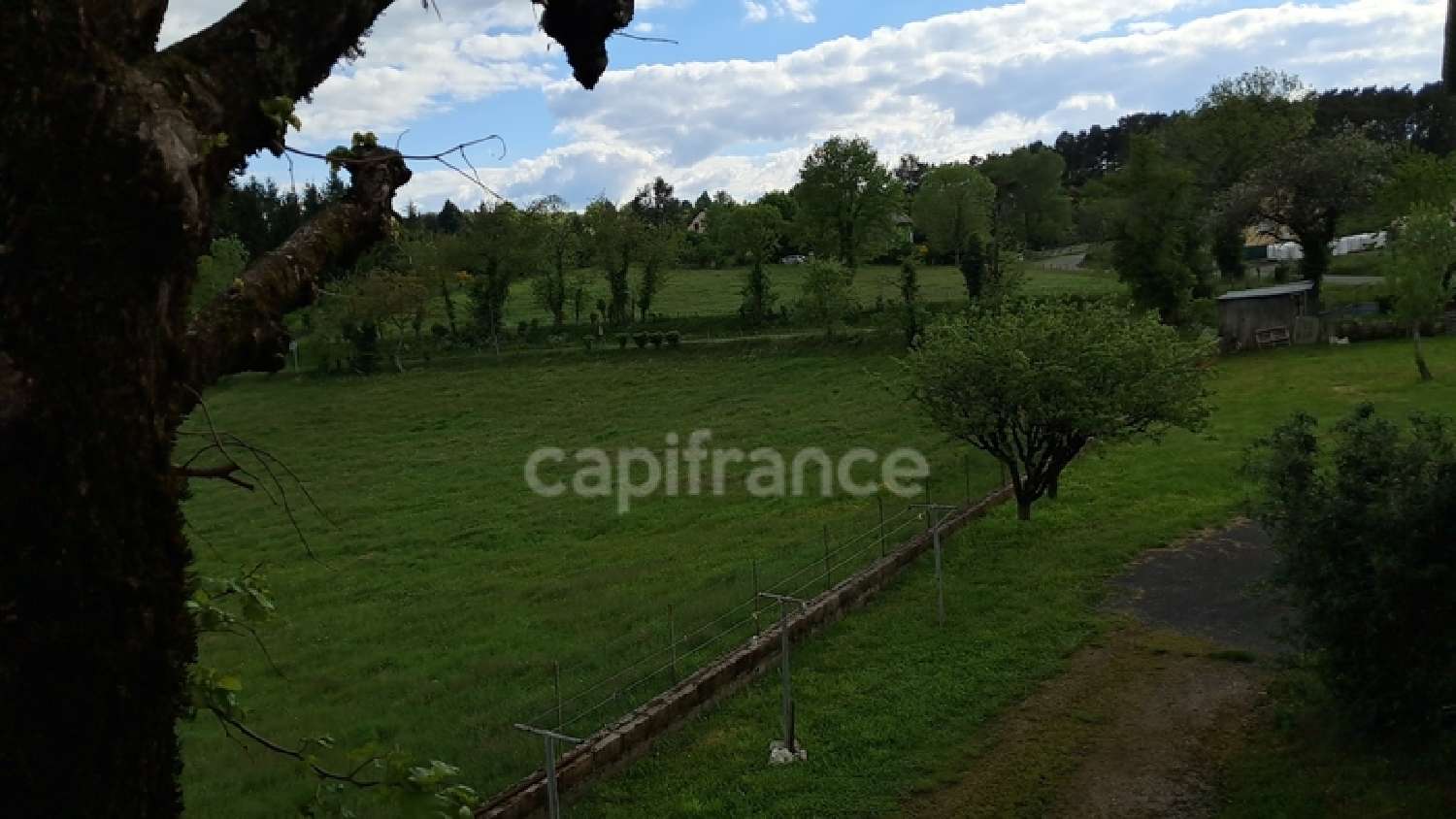  for sale house Cassaniouze Cantal 3